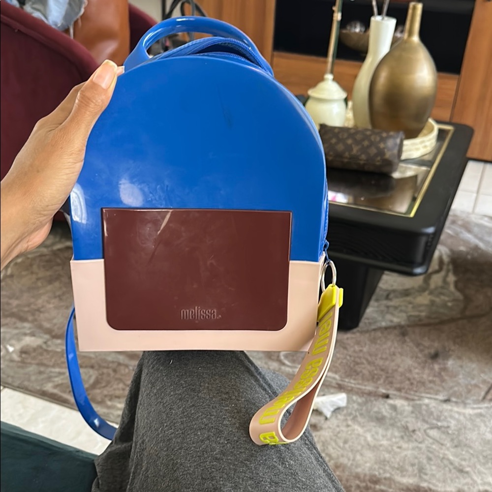Melissa Blue and Brown Backpack with Color-Block Design